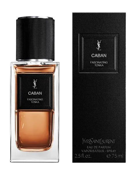 YSL Caban